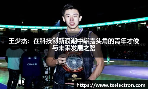 凤凰联盟